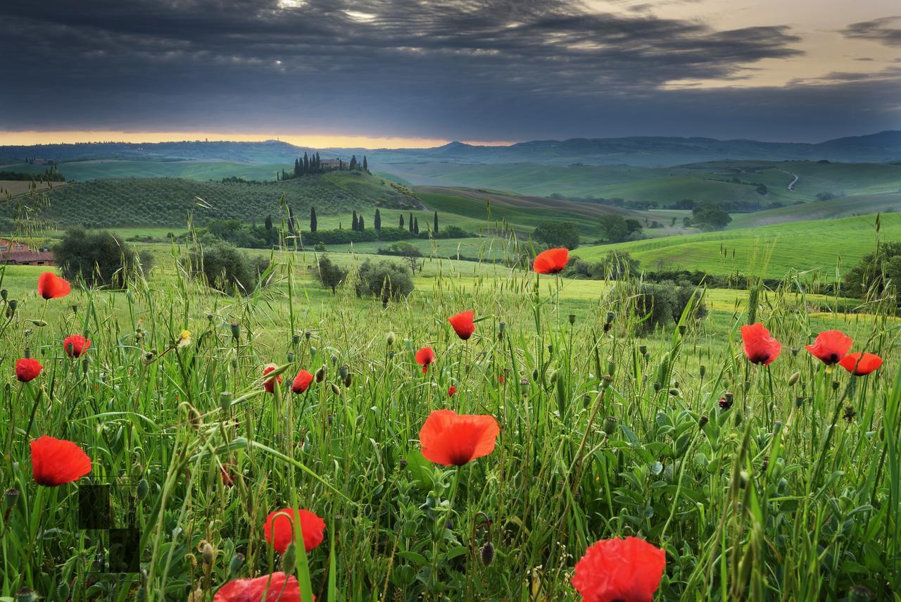 La Bellavita B&B Pienza Exterior photo