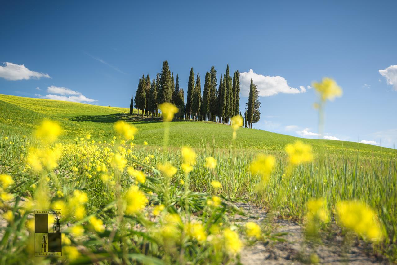 La Bellavita B&B Pienza Exterior photo
